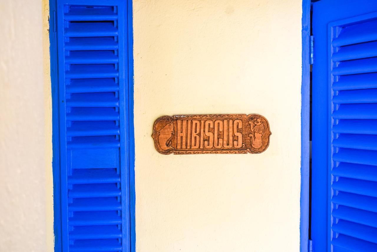 Hibiscus Beach House Pangani エクステリア 写真