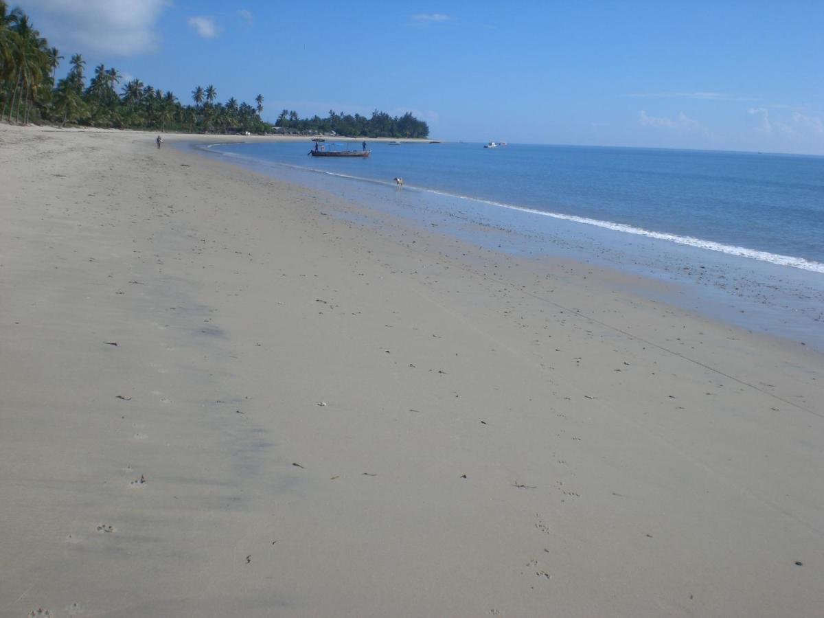 Hibiscus Beach House Pangani エクステリア 写真